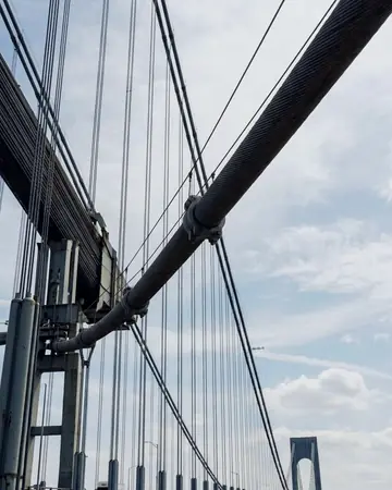Bridge cables. With the Chrome Film preset applied.