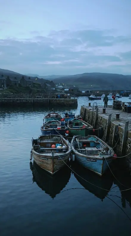 Shimmer Fold applied to Harbour boats