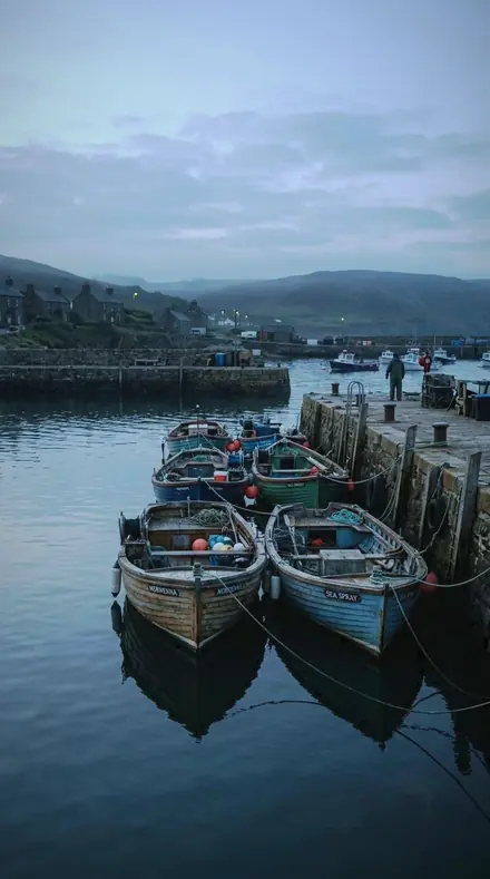 Jade Curtain applied to Harbour boats