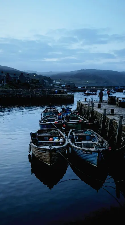 Herringbone Wave applied to Harbour boats