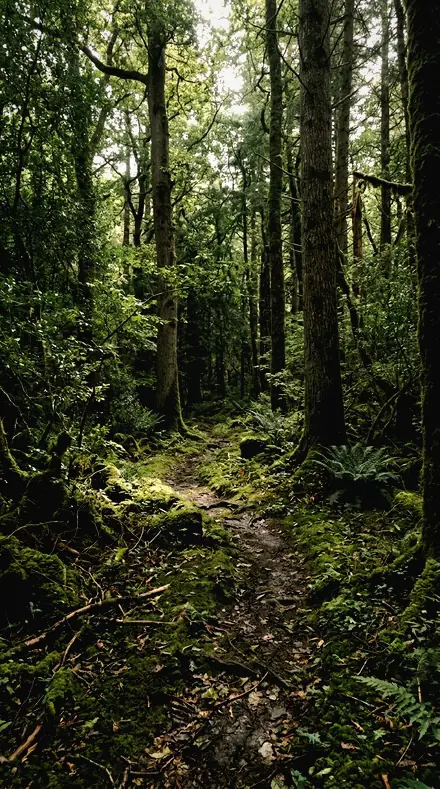 Paint Depth applied to Forest trail