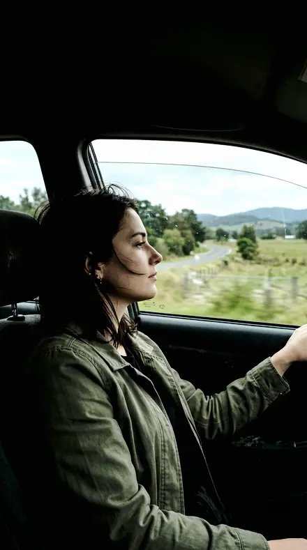 Noise Check applied to Car window