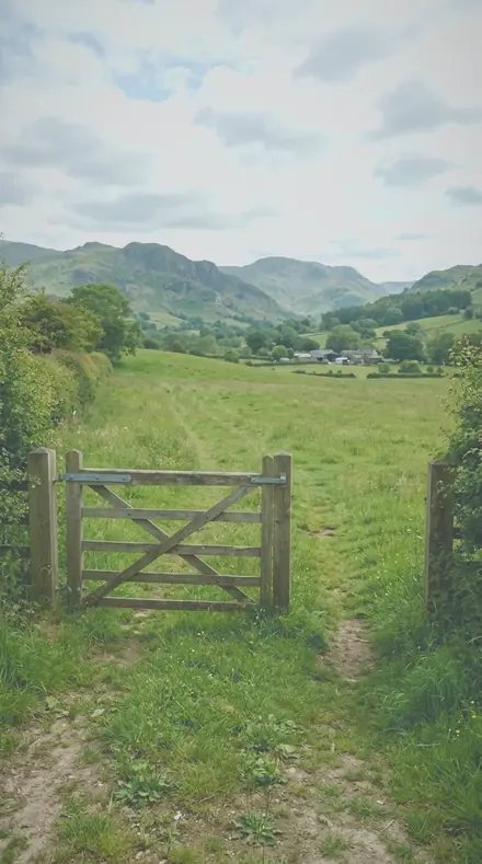 Pine Haze applied to Farm gate