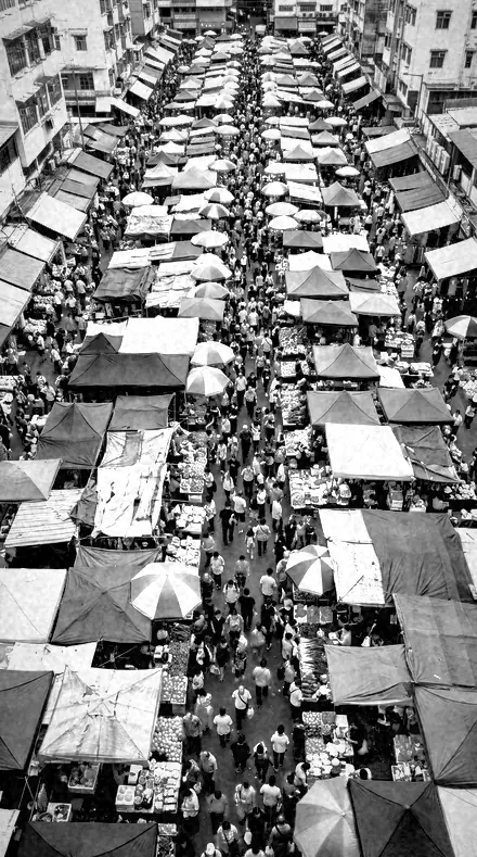 Pine Stand applied to Market crowd