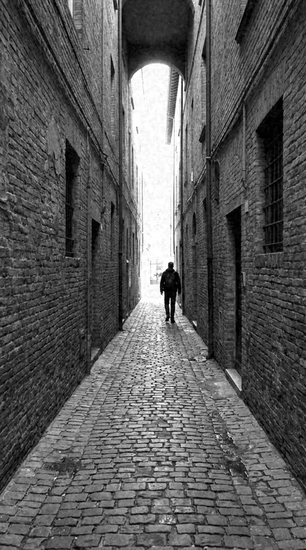 Gelatin Coat applied to Alley lines
