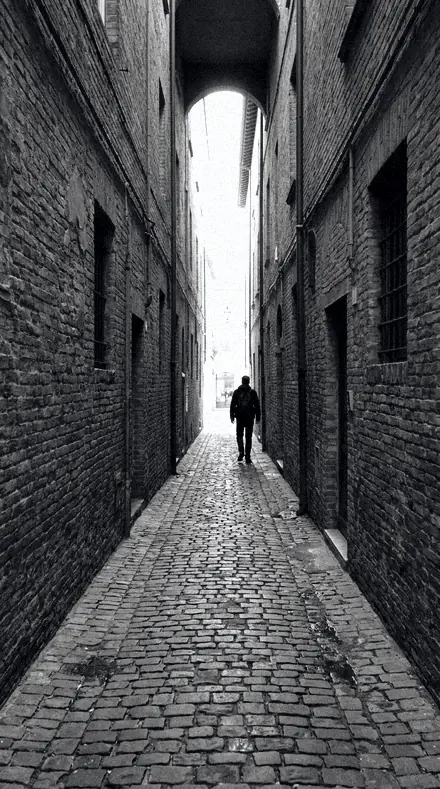 FN-15 Family Mono Classic applied to Alley lines