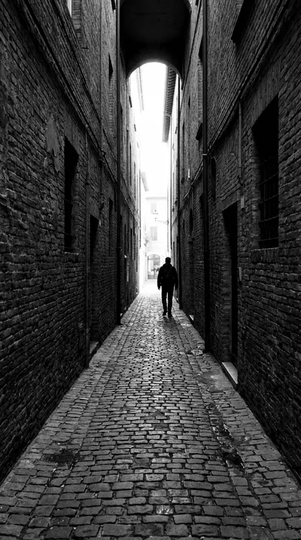 Barkline applied to Alley lines