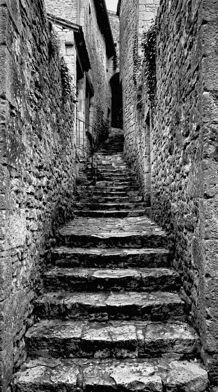 Valley Floor applied to Stone steps