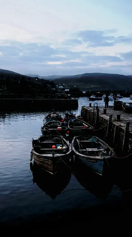 Blemish Hunt applied to Harbour boats