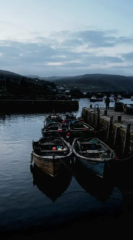 Sensor Dust applied to Harbour boats