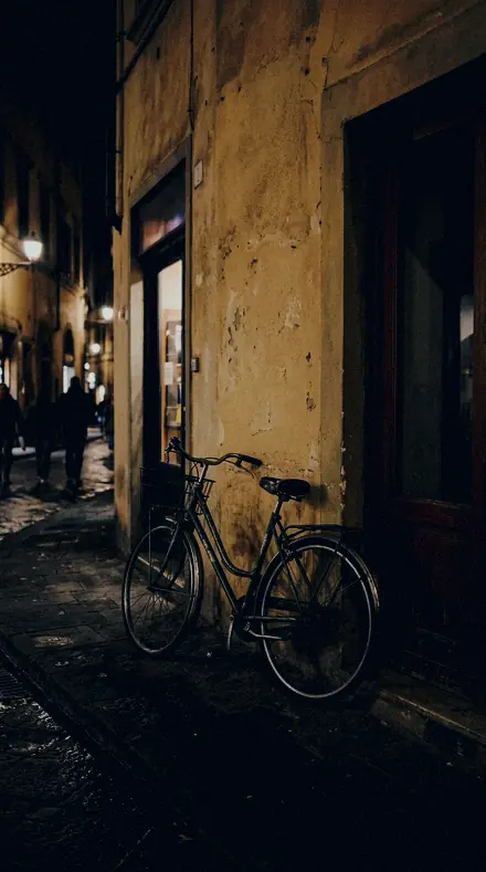 Cellar Table applied to Travel 049 bicycle lowlight