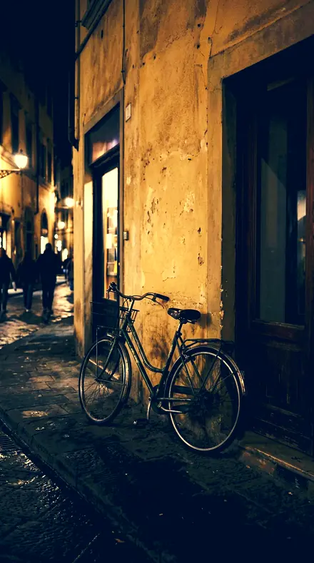 Divided Tone applied to Travel 049 bicycle lowlight