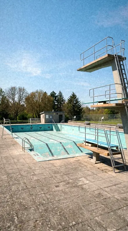 Ditch Grass applied to Empty pool