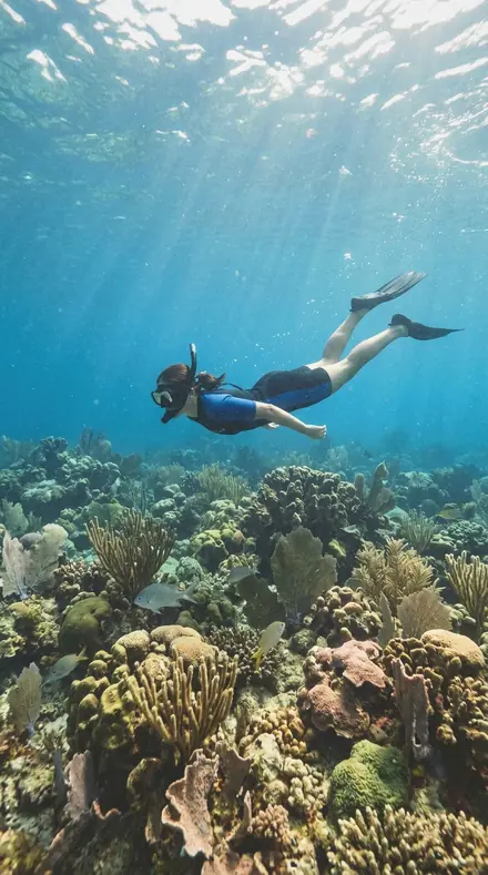 Warp Thread applied to Reef snorkel