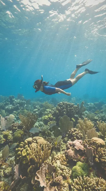 Gown Weave applied to Reef snorkel