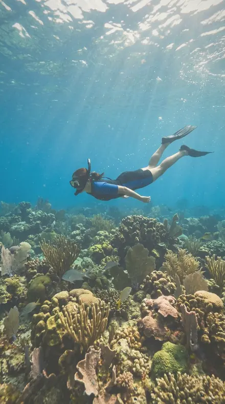 Stole Colour applied to Reef snorkel