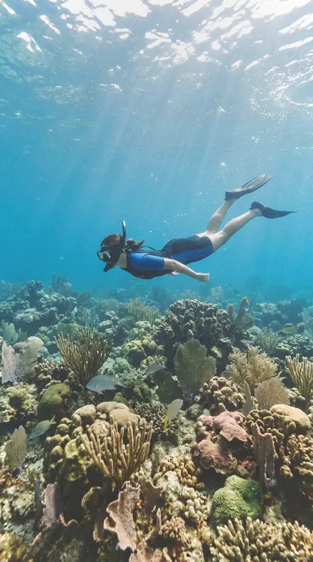 Route Tape applied to Reef snorkel