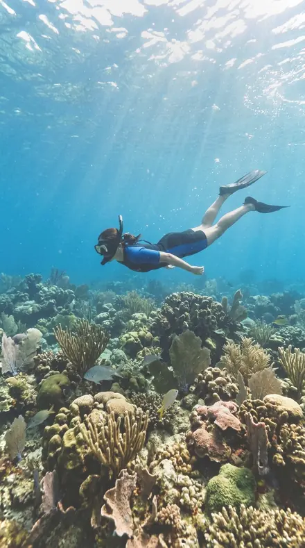 Foot Smear applied to Reef snorkel