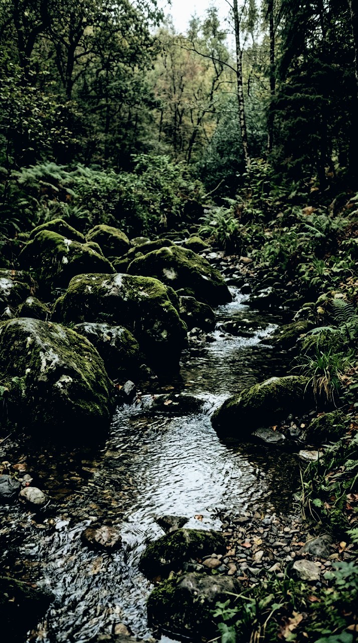Fernnight: Rain-wet moss, alive