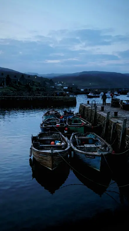 Drop In applied to Harbour boats