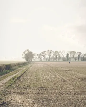 field mist. With the Gauzewash preset applied.
