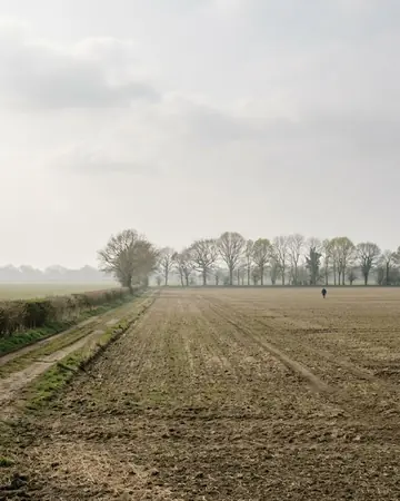 field mist. Photographed without a preset.