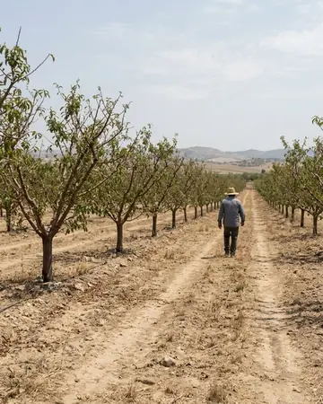 Orchard rows. Photographed without a preset.