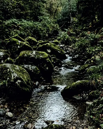 moss rocks. With the Openterrain preset applied.