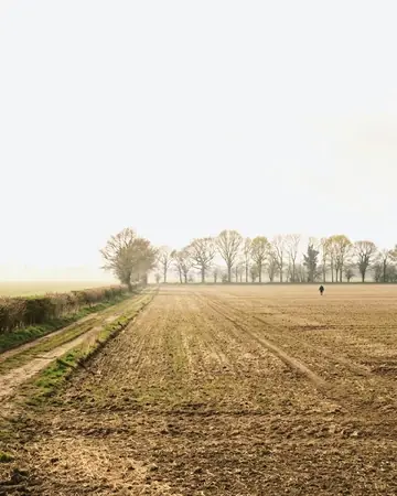 Field mist. With the Whitepoint preset applied.
