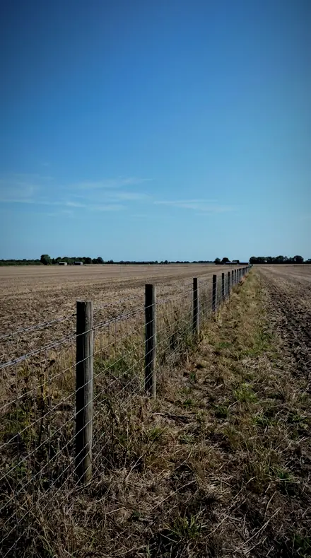 Squall Line applied to field fence
