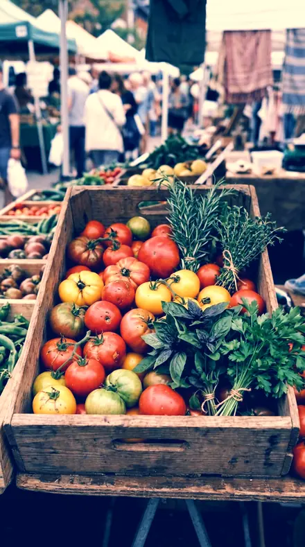 Cyan Floor applied to market produce