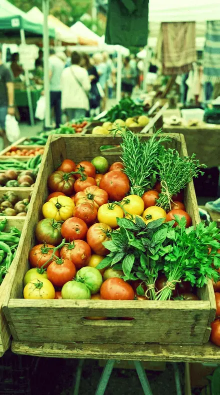 Green Bloom applied to market produce
