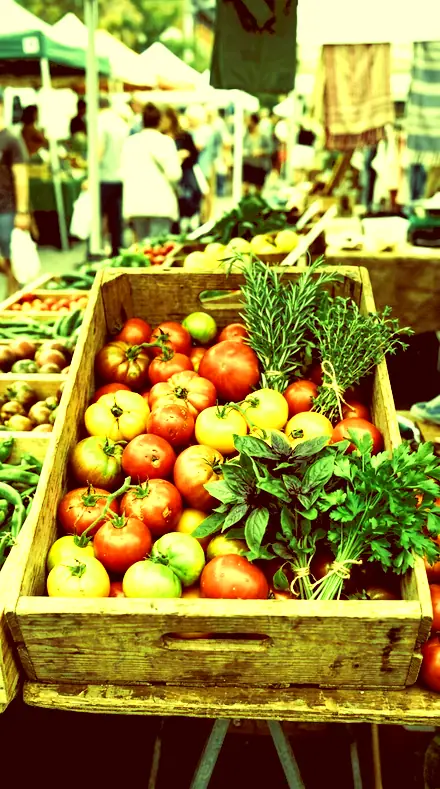 Lime Print applied to market produce