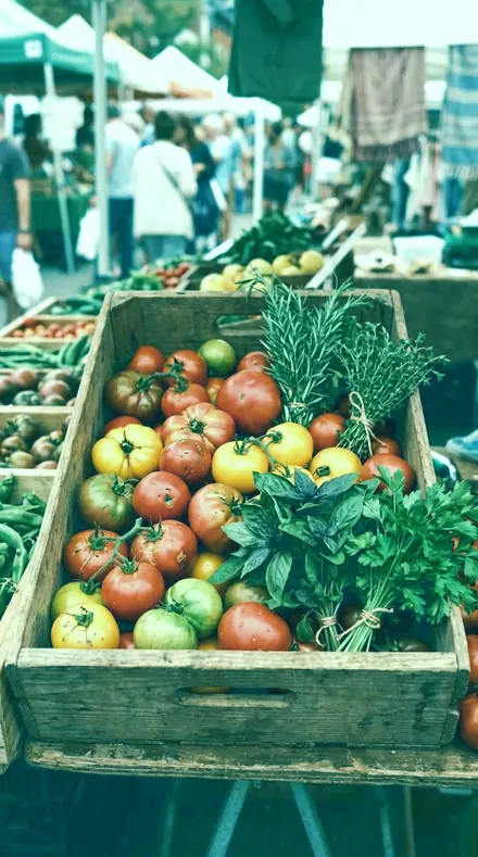 Teal Print applied to market produce