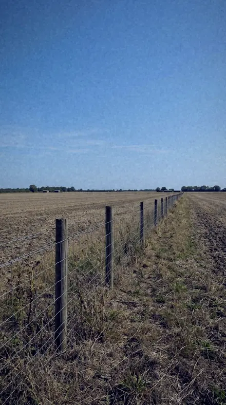 Astronomer's Blue applied to the field after the sun gave up