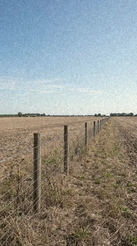 Amber Reel applied to the field after the sun gave up