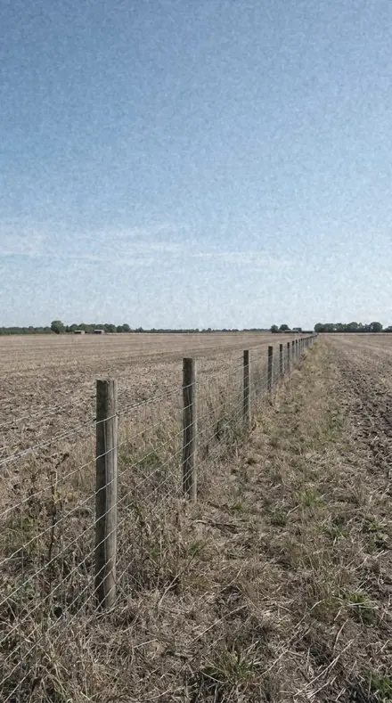 Grey Reel applied to the field after the sun gave up