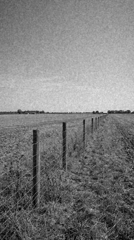 Mono Nightfall applied to the field after the sun gave up