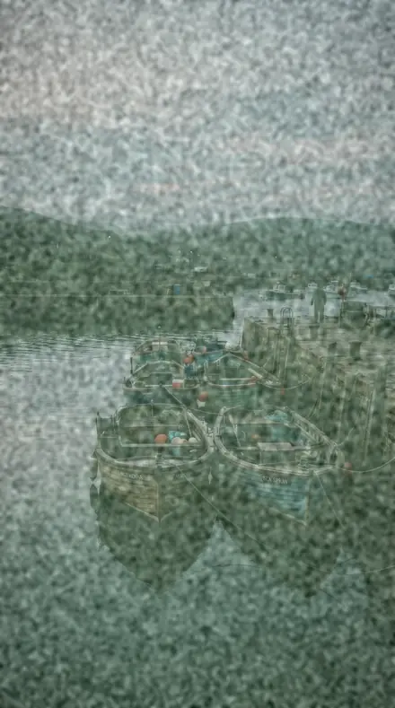 Backing Paper applied to harbour boats