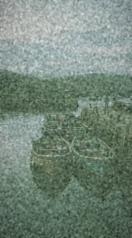 Magenta Drift applied to harbour boats
