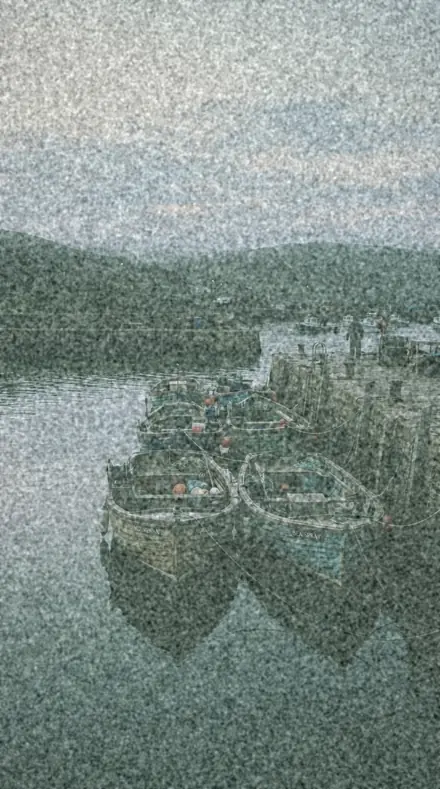 Moss Tint applied to harbour boats