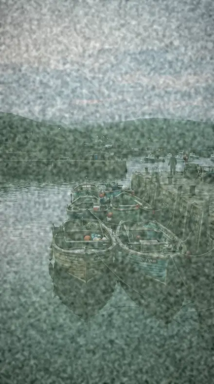 Lichen Patch applied to harbour boats