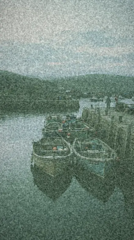 Expiry Line applied to harbour boats