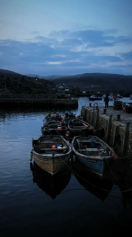 Raptor Dark applied to harbour boats