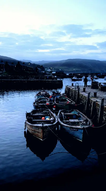 Arm Sweep applied to harbour boats