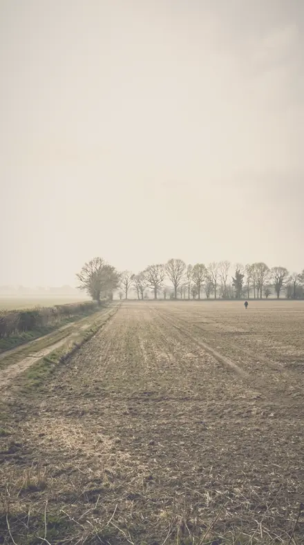 Hazed Meadow applied to field mist