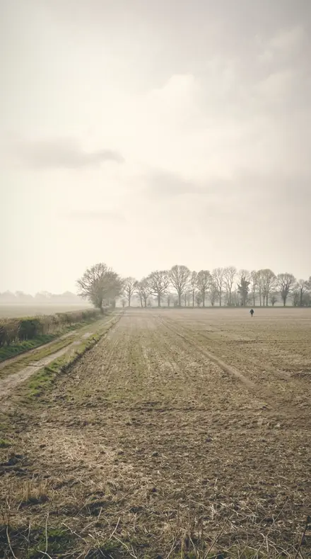 Drifting Light applied to field mist