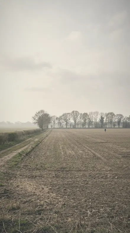 Breathed Glass applied to field mist