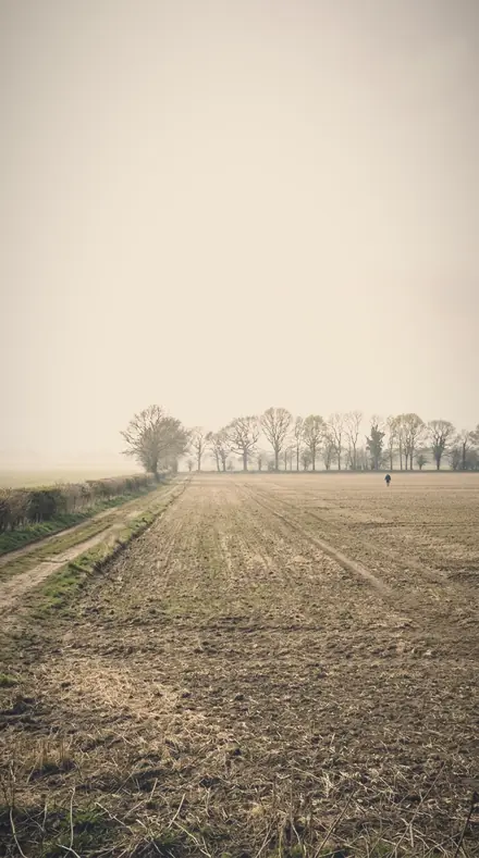 Vapour Field applied to field mist