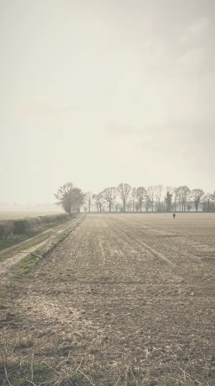 Silken Air applied to field mist
